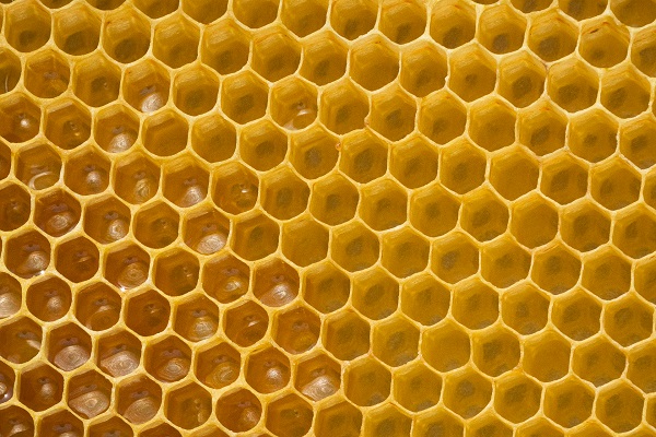 Včelárenie nie je veru med lízať. 