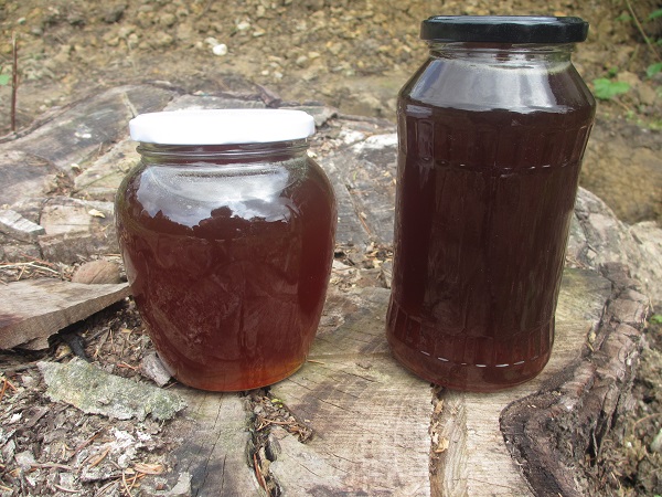 vľavo - náš Medovicovo-nektárový med, vpravo - náš pohánkový, rok 2019